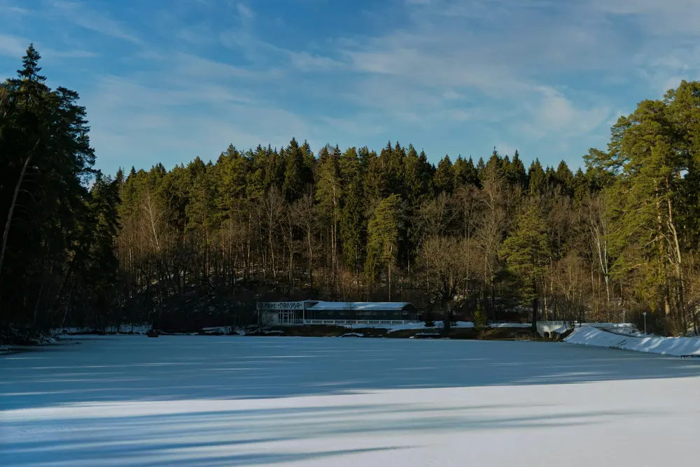 Frozen lake and snow-covered forest in winter