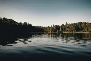 Calm lake water against a forested shoreline