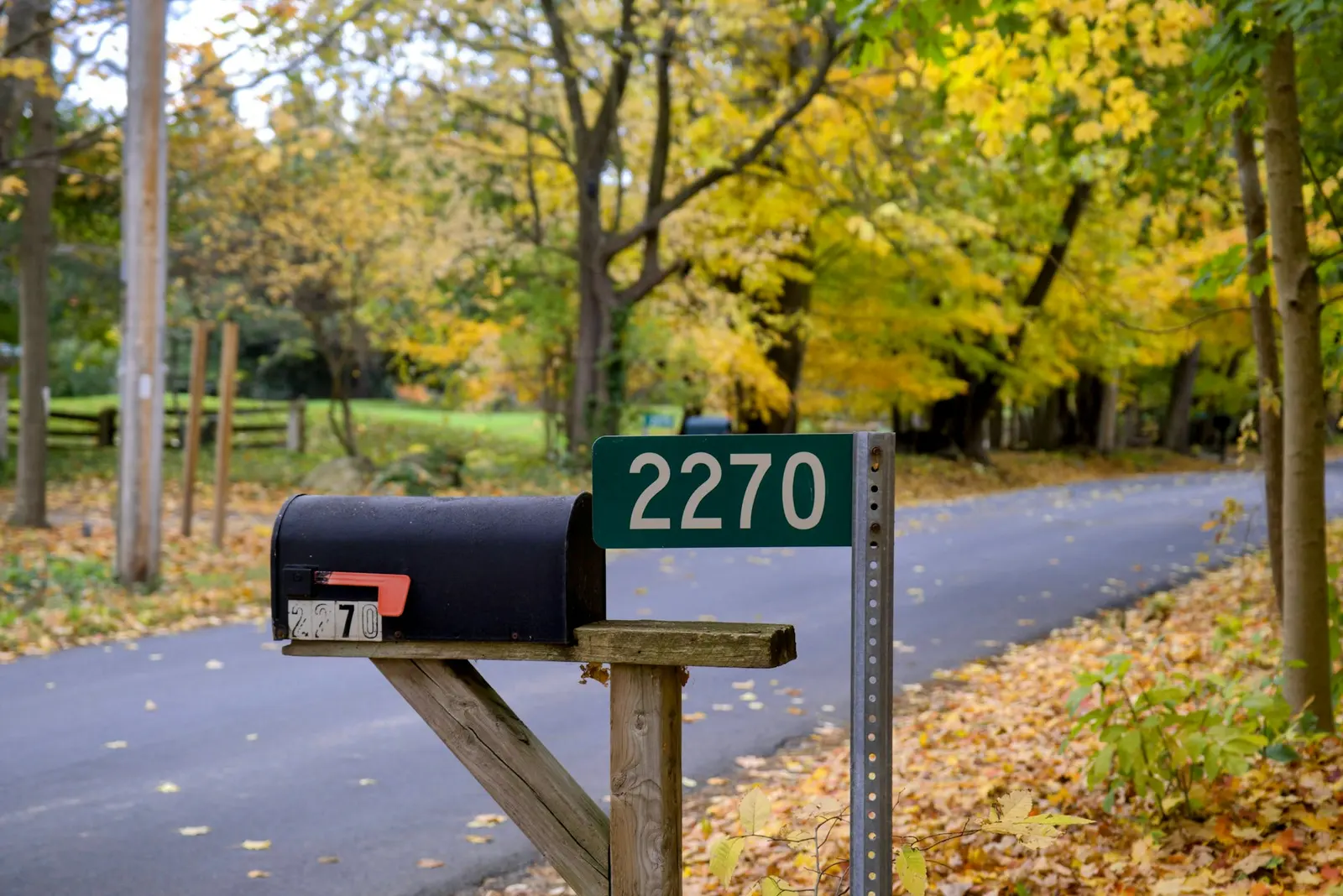 Rural mailbox on a tree-lined road in autumn