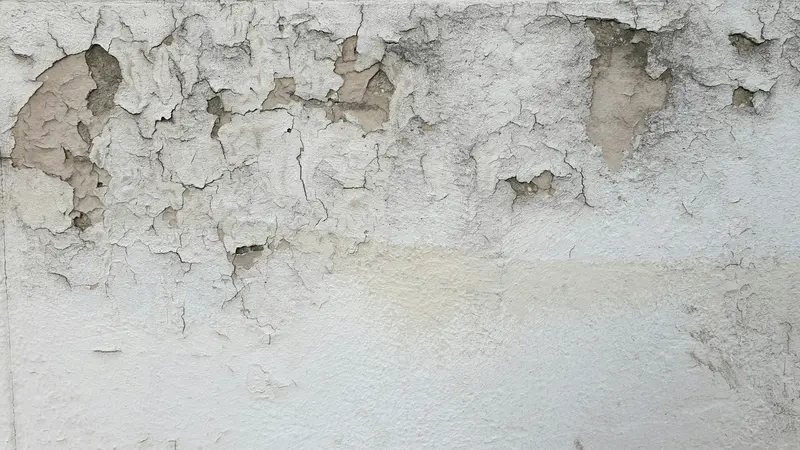 Paint peeling and flaking off a damp plaster wall