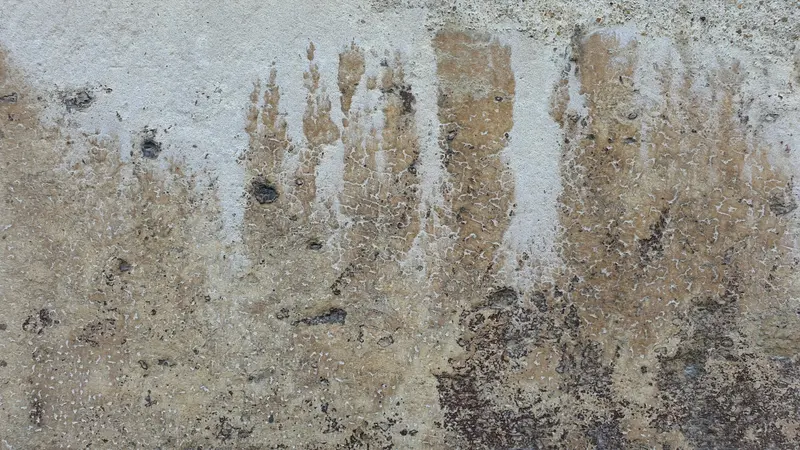 Tide marks and white mineral deposits at the base of a wall
