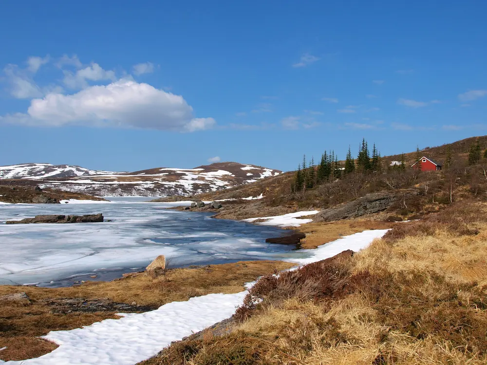 Snow melting off fields into a swollen creek in early spring